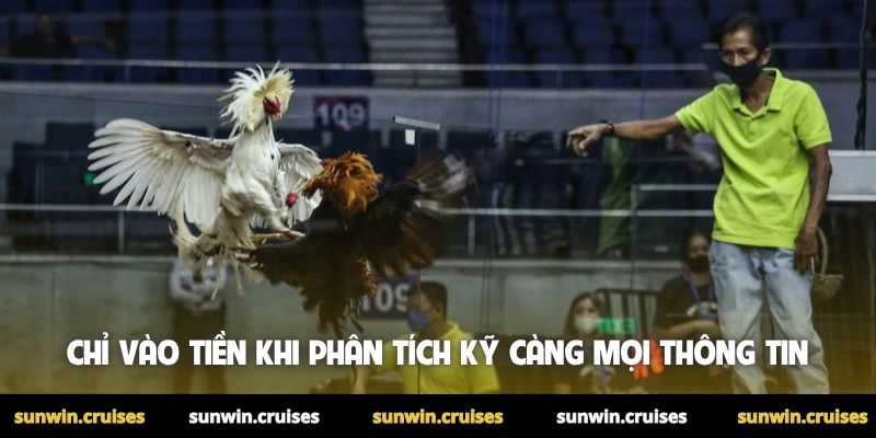 Kinh nghiệm đá gà thắng lớn - Mẹo hay do cao thủ chia sẻ 4 Chỉ vào tiền khi phân tích kỹ càng mọi thông tin