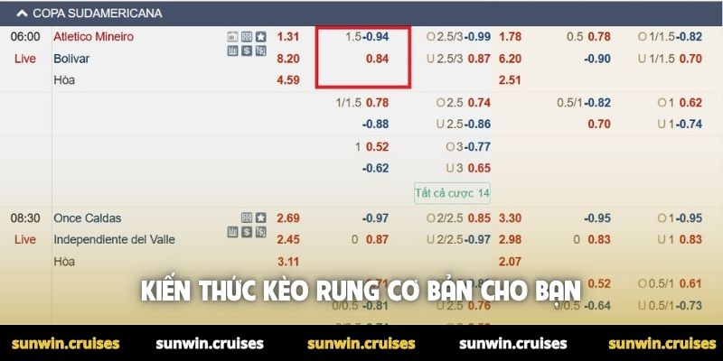 Kèo rung là gì? Tổng hợp các dạng running bet thường gặp 1 Kiến thức kèo rung cơ bản cho bạn