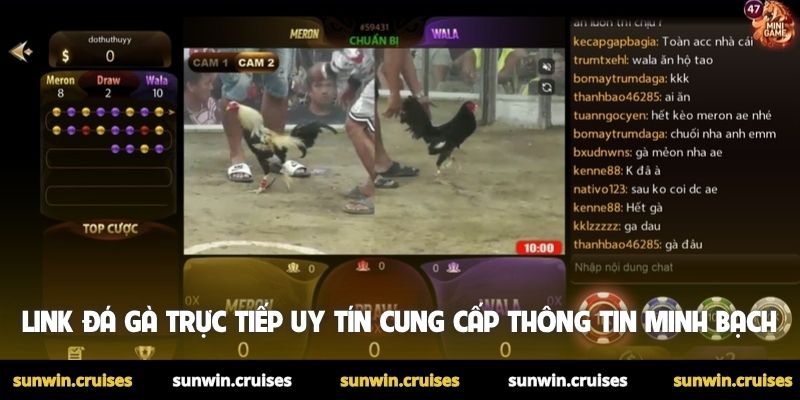 Link đá gà trực tiếp uy tín - Cá cược đá gà chất lượng cao 1 Link đá gà trực tiếp uy tín cung cấp thông tin minh bạch
