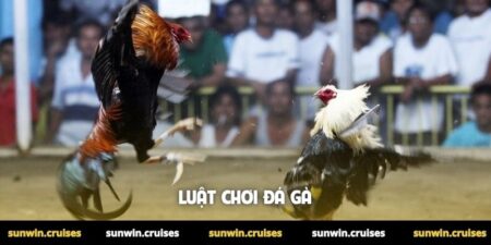 Luật chơi đá gà