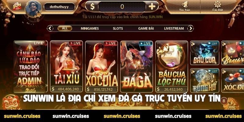 Link đá gà trực tiếp uy tín - Cá cược đá gà chất lượng cao 4 Sunwin là địa chỉ xem đá gà trực tuyến uy tín