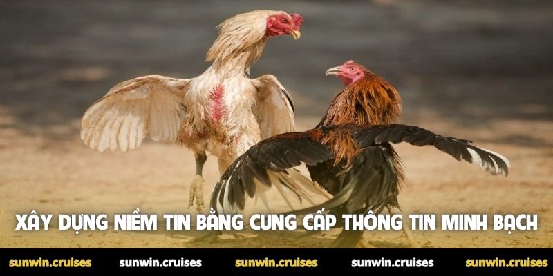 Xây dựng niềm tin bằng cung cấp thông tin minh bạch