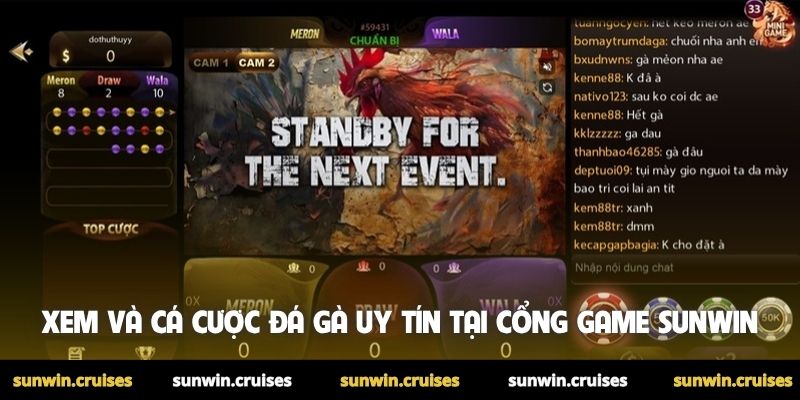 Xem đá gà Thomo hôm nay trực tiếp hấp dẫn tại Sunwin 4 Xem và cá cược đá gà uy tín tại cổng game Sunwin